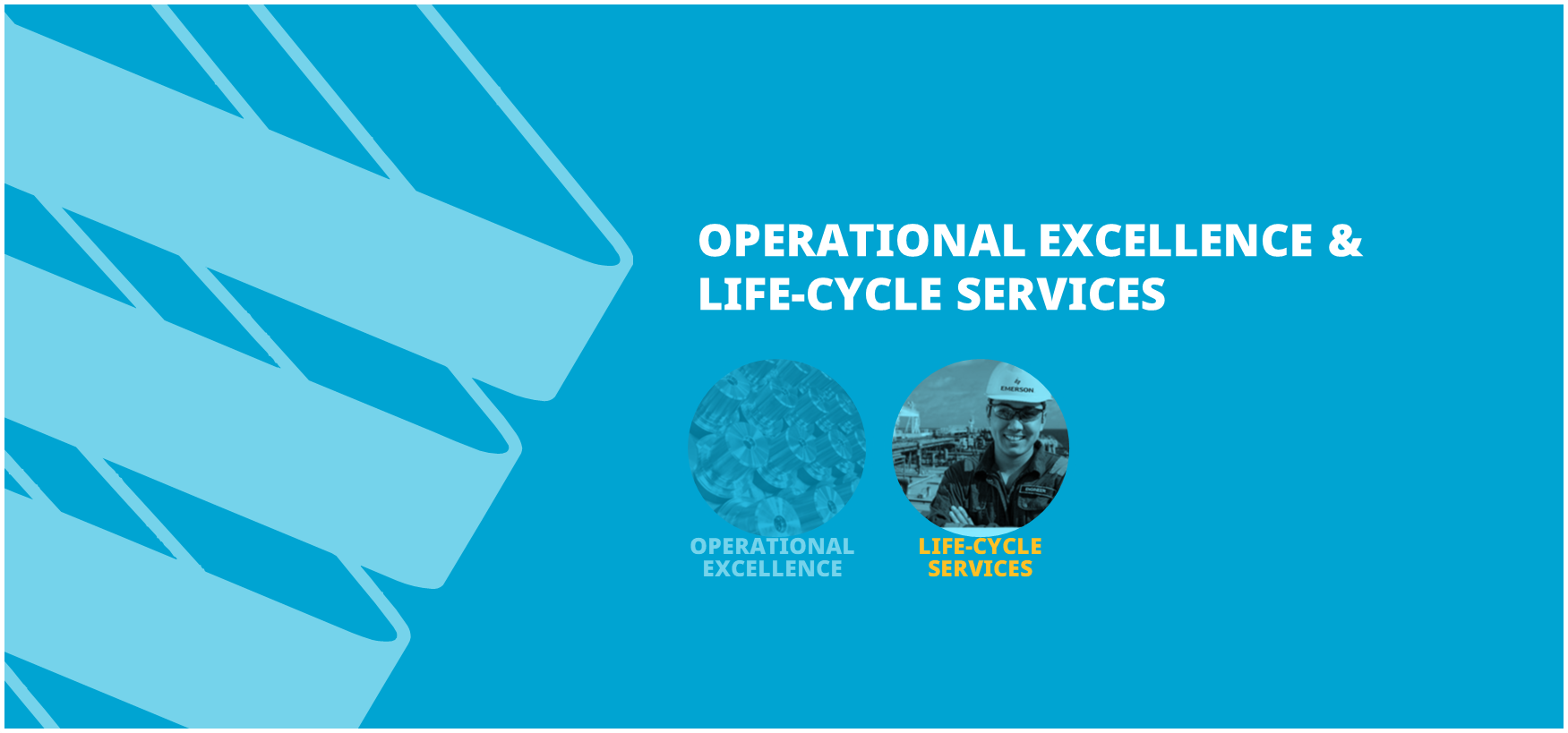Life-Cycle Services